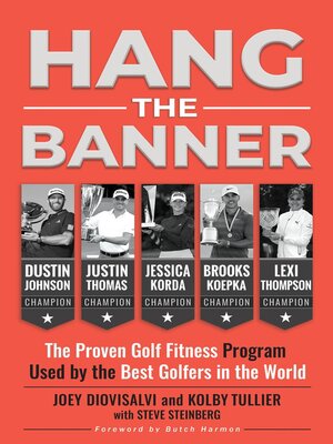 cover image of Hang the Banner